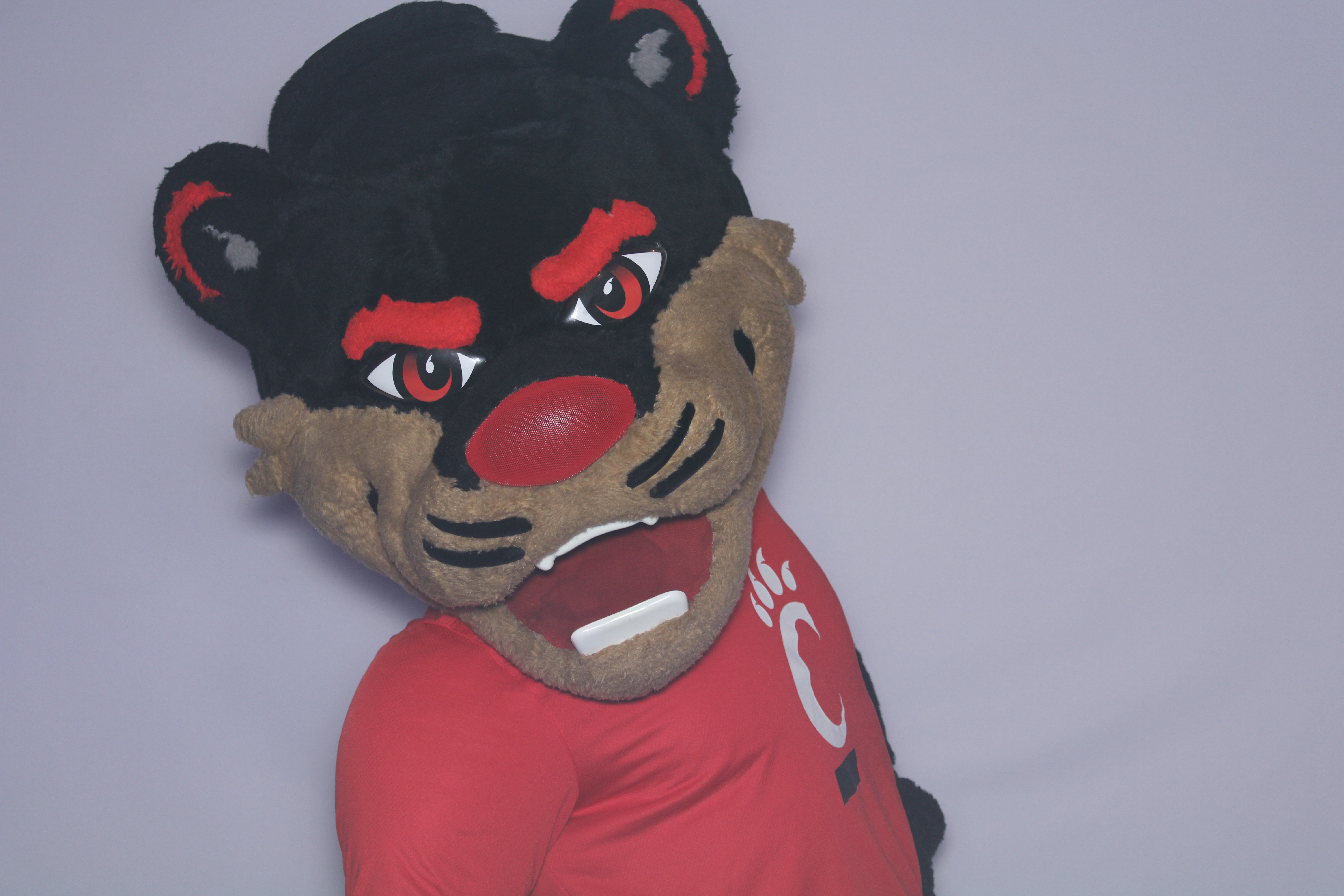 5/3 Bank  | View more photos from the event at gallery.saycheesephotobooth.com/u/SayCheesePhotoBooth/53-Bank